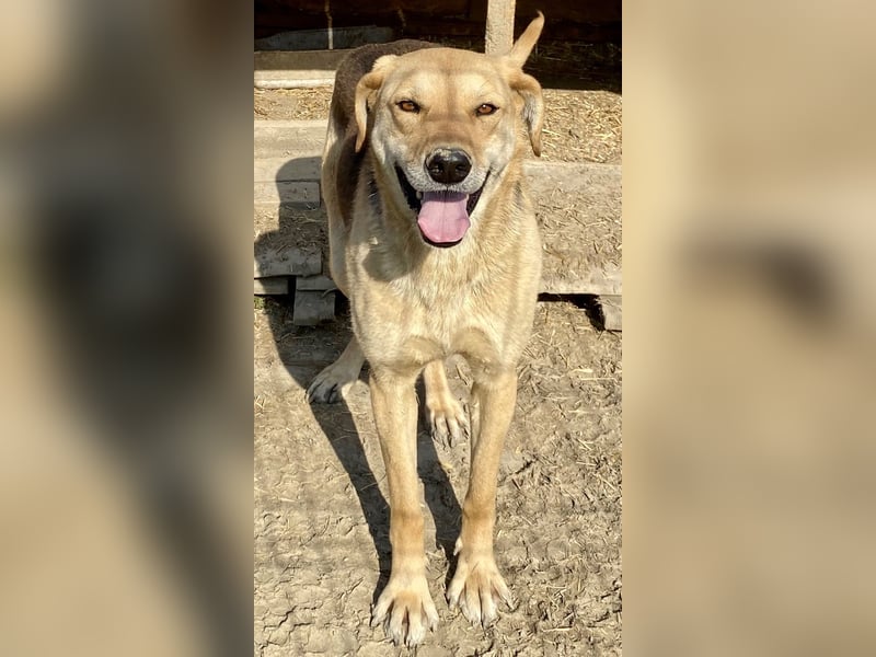 Noelle - freundlich und interessiert