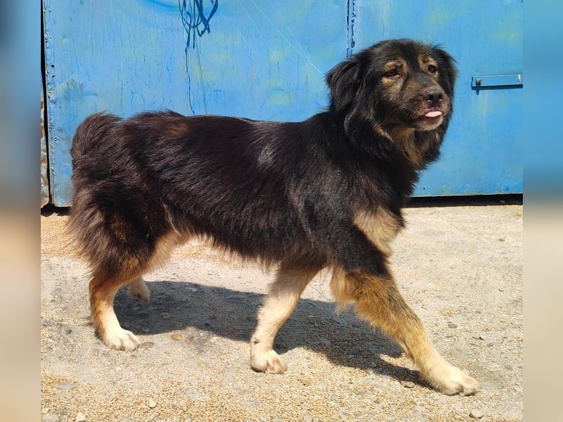 Herra - freundlich und interessiert