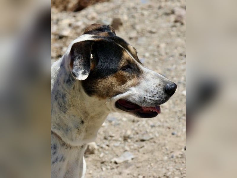 Antonella, sehr sozial, möchte gefallen, aufgeschlossen