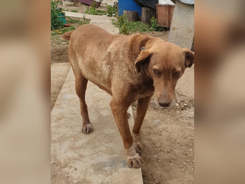 Angelica - entspannt und freundlich