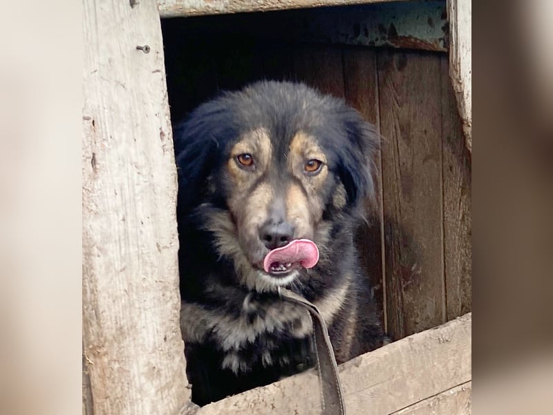 Herra - freundlich und interessiert
