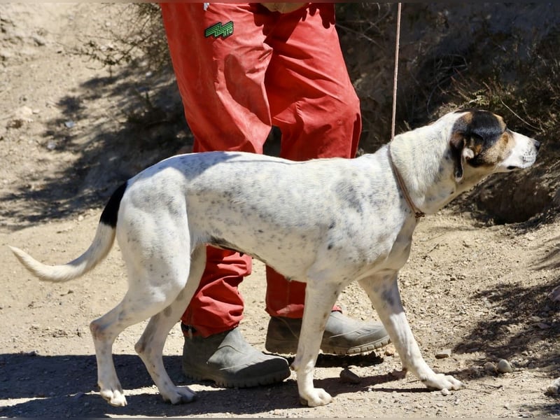 Antonella, sehr sozial, möchte gefallen, aufgeschlossen
