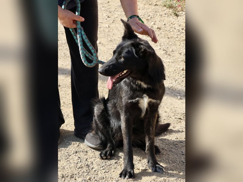 Gia - lässt sich gerne anfassen, freundlich und aufmerksam