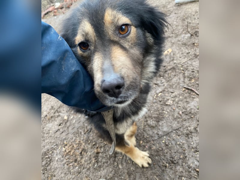 Herra - freundlich und interessiert