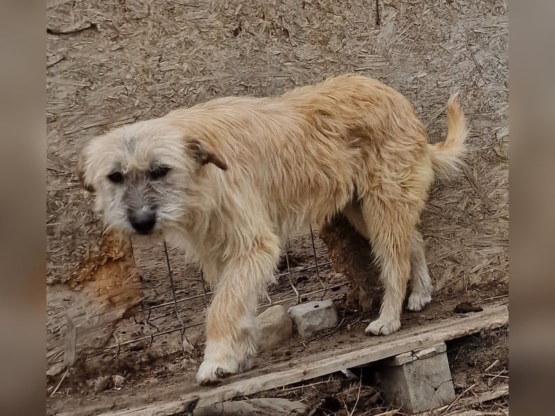 Ronja - freundlich und vorsichtig