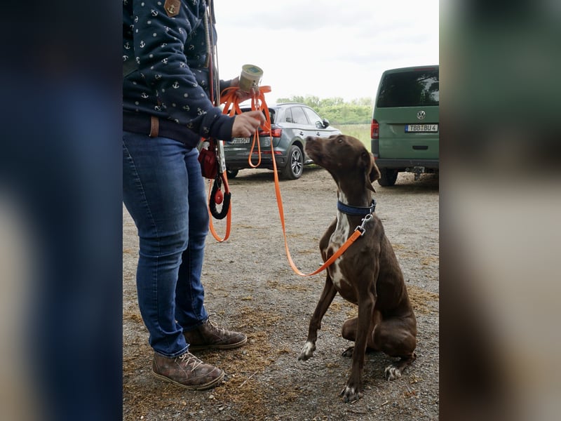Asia, vorsichtig, lernwillig, gut sozialisiert - bereits in Deutschland