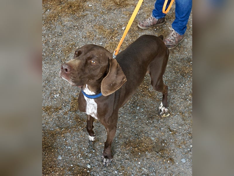 Asia, vorsichtig, lernwillig, gut sozialisiert - bereits in Deutschland