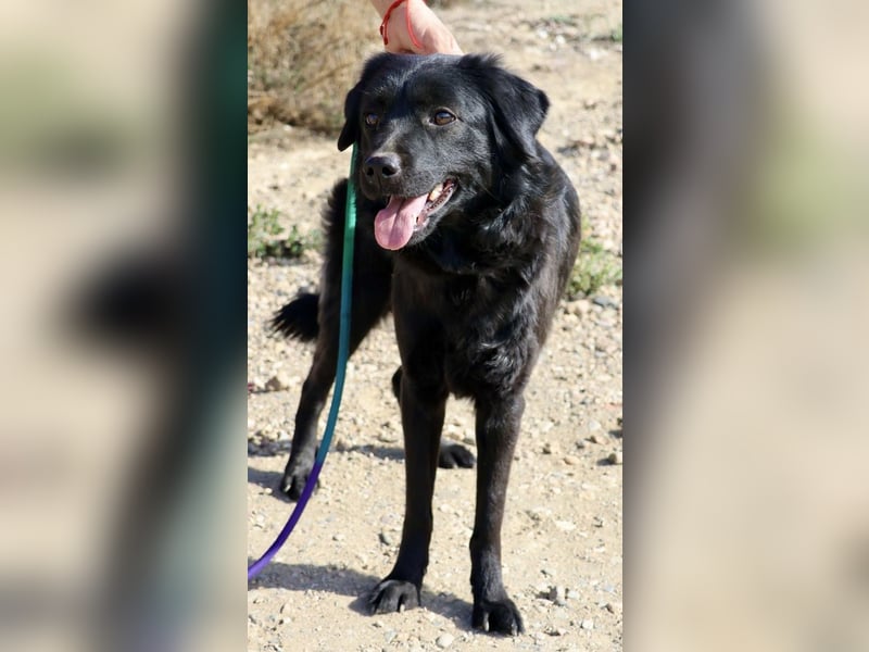 Sila, neugierig, freundlich, lernwillig