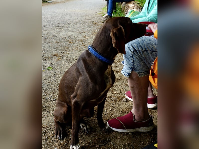 Asia, vorsichtig, lernwillig, gut sozialisiert - bereits in Deutschland