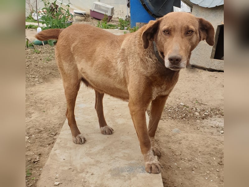 Angelica - entspannt und freundlich