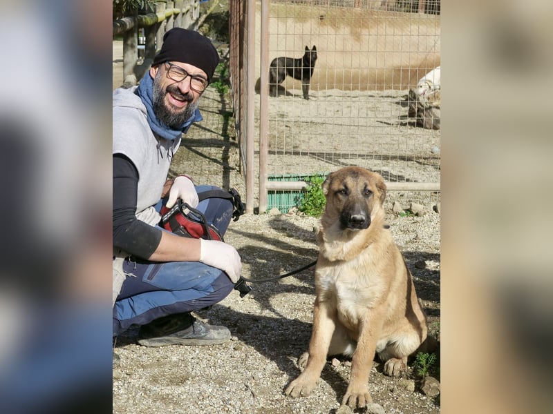 Afrodita - freundlich, zutraulich und lernwillig