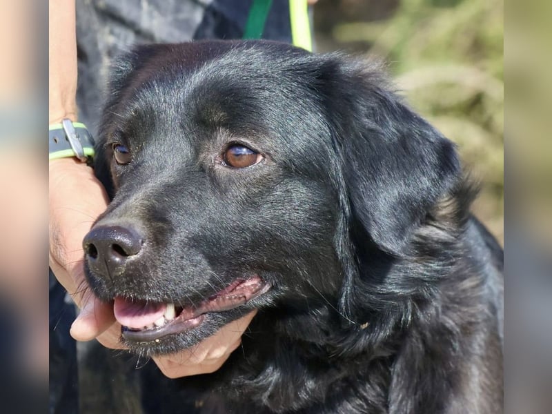 Sila, neugierig, freundlich, lernwillig