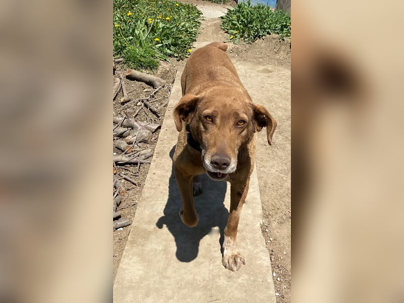 Angelica - entspannt und freundlich