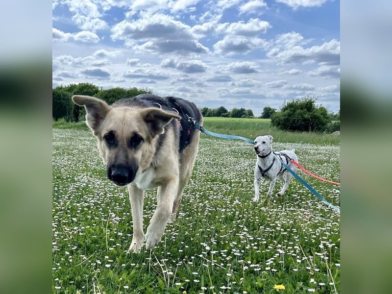 Kara, neugierig, lernwillig, aufgeschlossen - bereits in Deutschland -