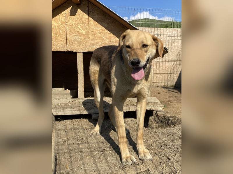 Noelle - freundlich und interessiert