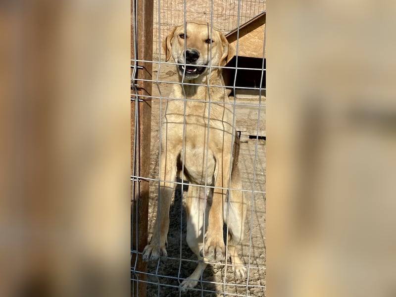 Noelle - freundlich und interessiert