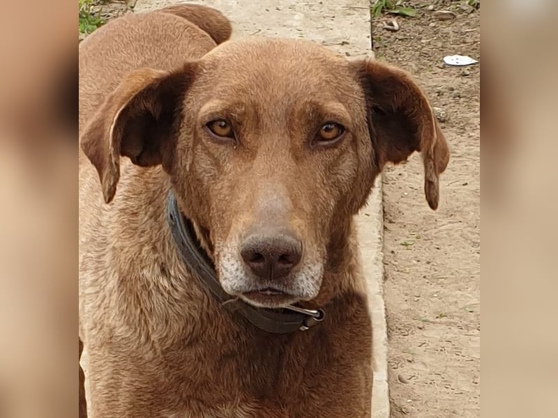 Angelica - entspannt und freundlich