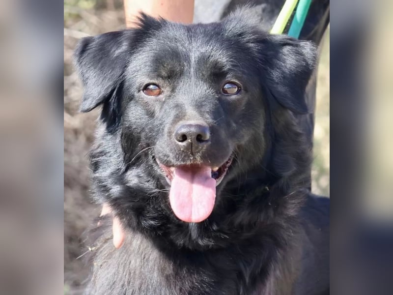 Sila, neugierig, freundlich, lernwillig