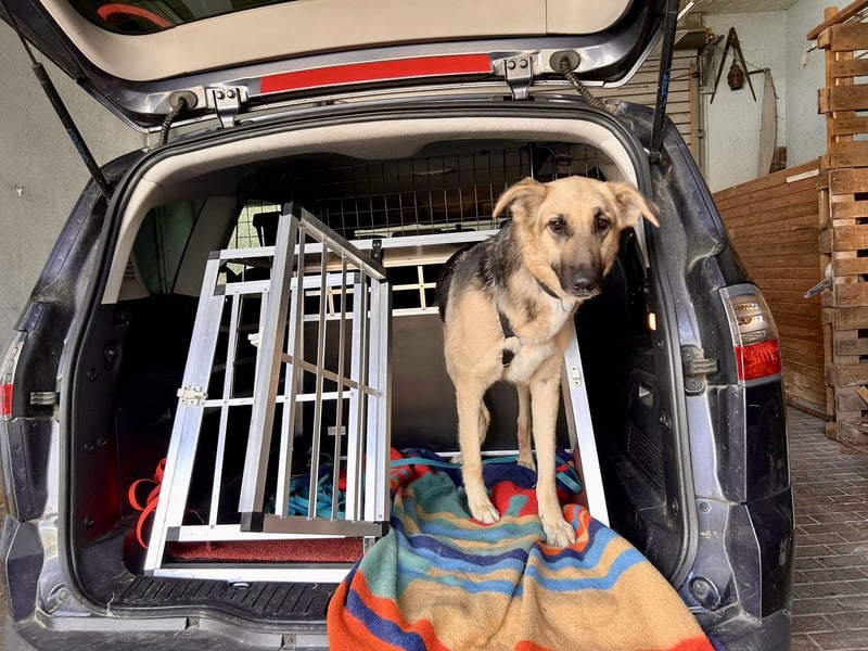 Kara, neugierig, lernwillig, aufgeschlossen - bereits in Deutschland -