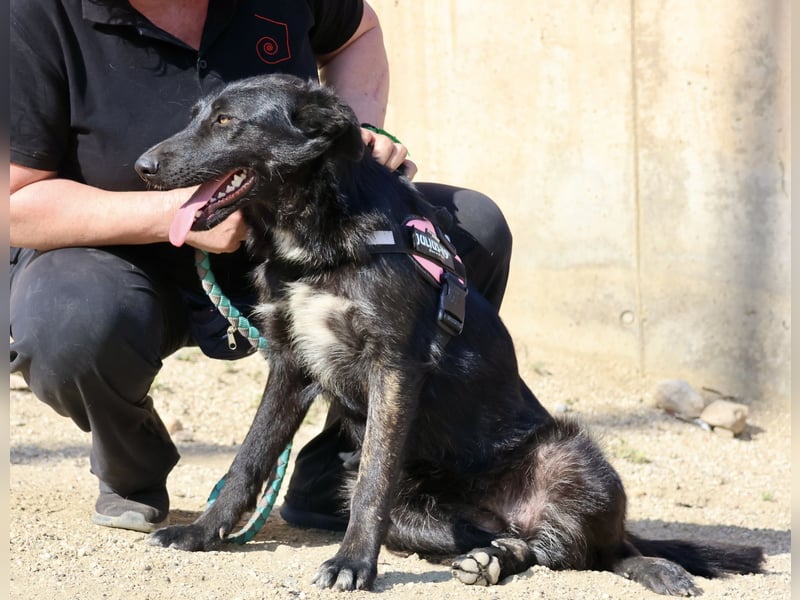 Gia - lässt sich gerne anfassen, freundlich und aufmerksam