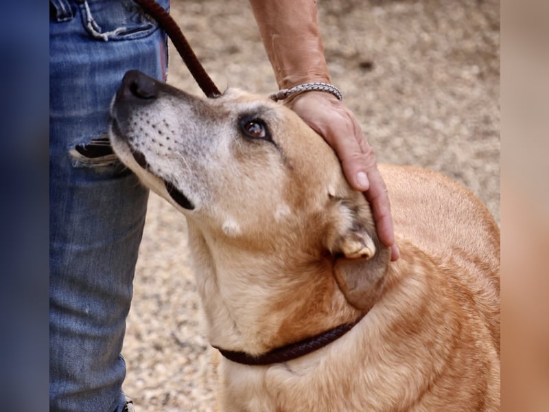 Hellen, sucht Altersruhesitz - NOTFALL -