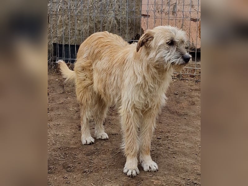 Ronja - freundlich und vorsichtig