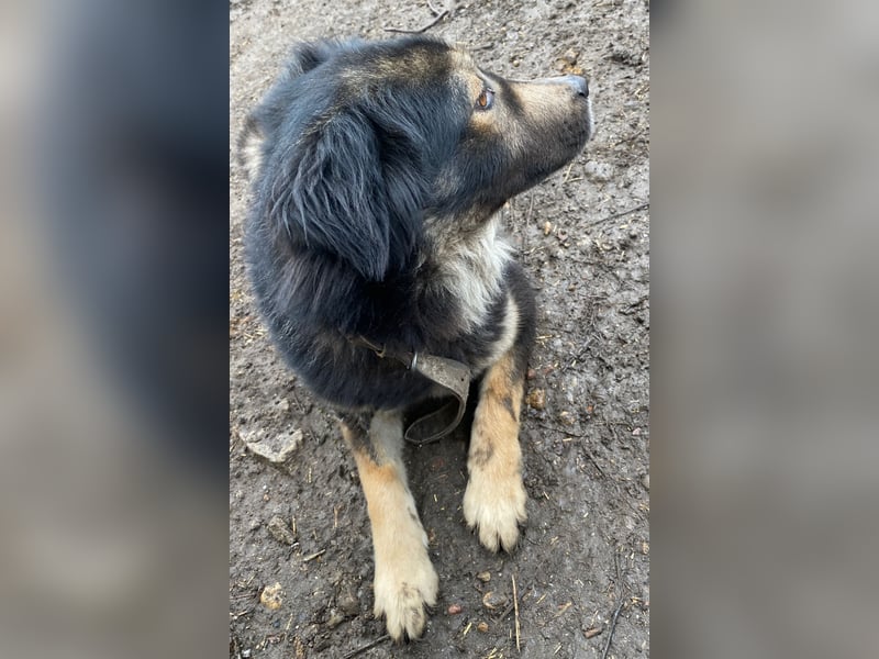 Herra - freundlich und interessiert