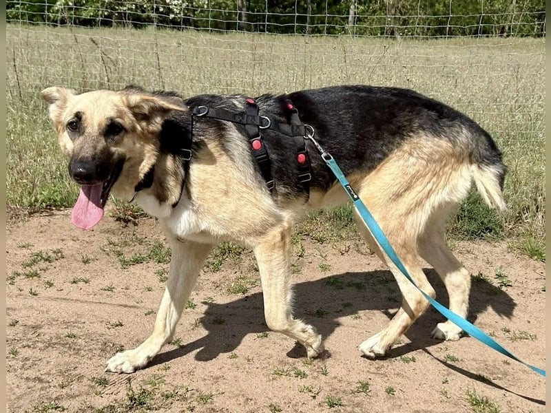 Kara, neugierig, lernwillig, aufgeschlossen - bereits in Deutschland -