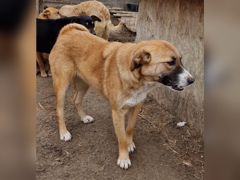 Rabea - freundlich und zurückhaltend