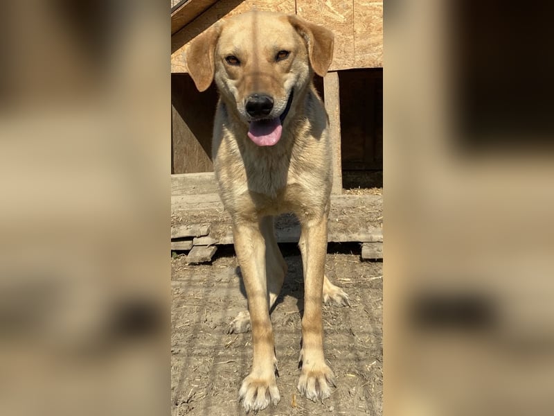 Noelle - freundlich und interessiert