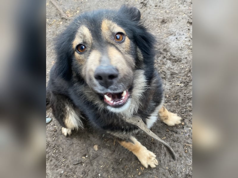 Herra - freundlich und interessiert