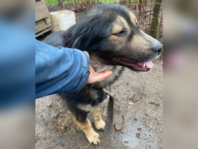 Herra - freundlich und interessiert