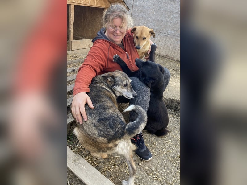 Sirius - ruhig und freundlich