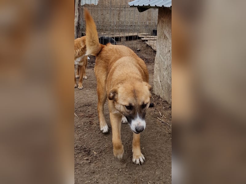 Rabea - freundlich und zurückhaltend