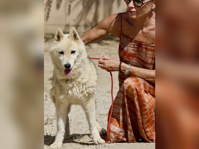 Afri, klug, menschenbezogen und sportlich