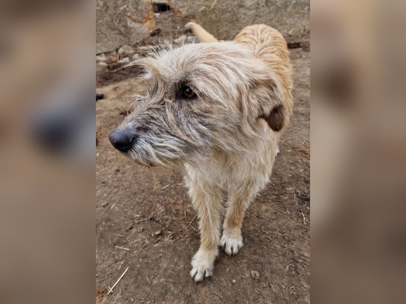 Ronja - freundlich und vorsichtig