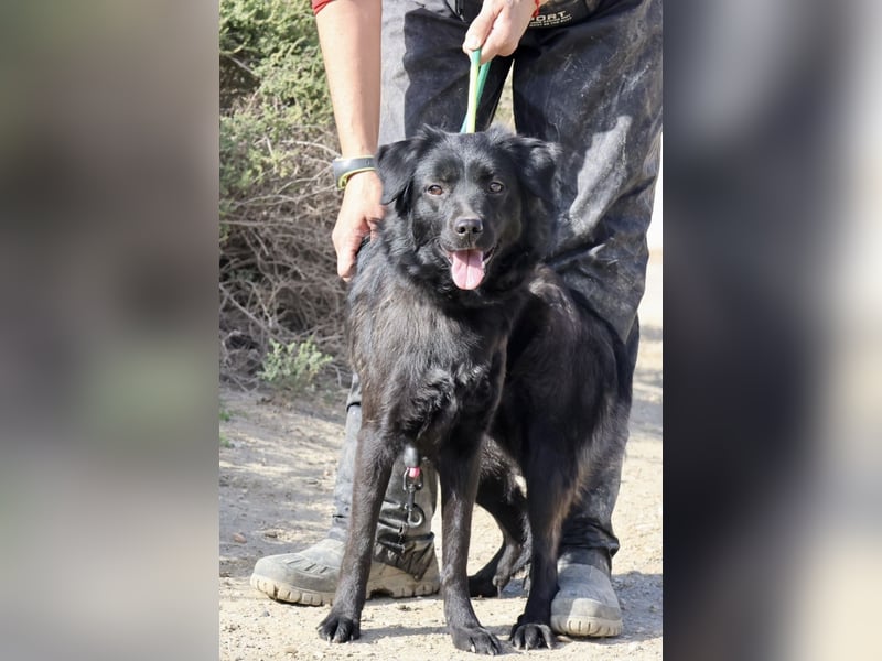 Sila, neugierig, freundlich, lernwillig