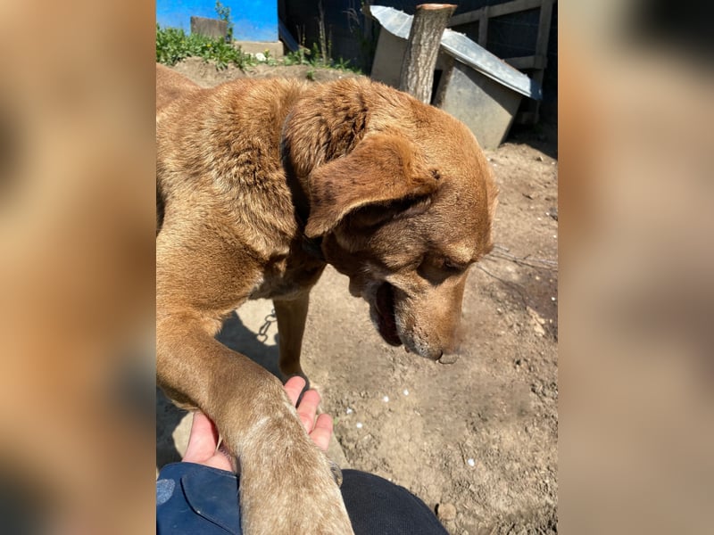 Angelica - entspannt und freundlich