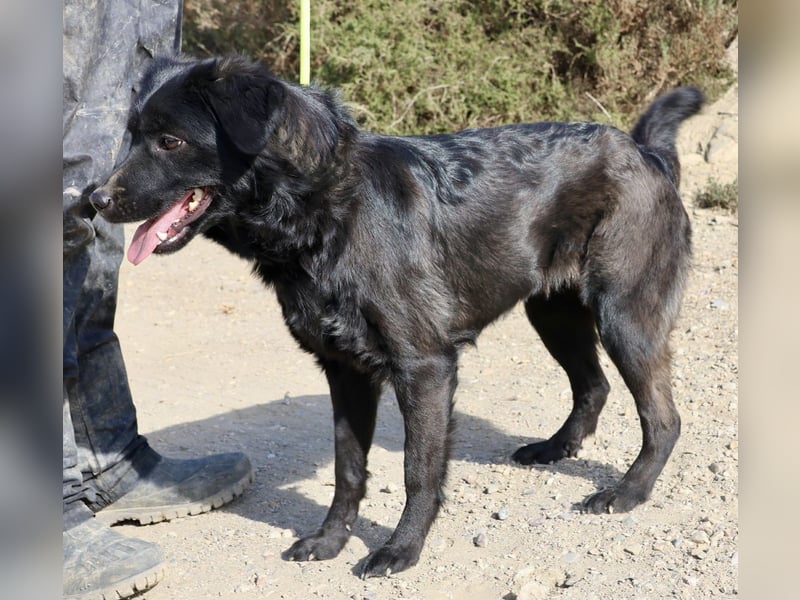 Sila, neugierig, freundlich, lernwillig