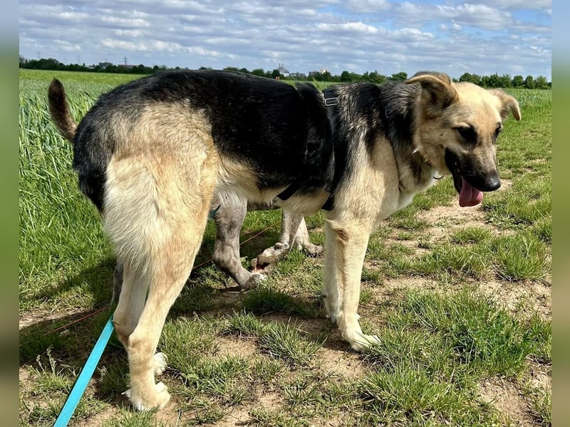 Kara, neugierig, lernwillig, aufgeschlossen - bereits in Deutschland -