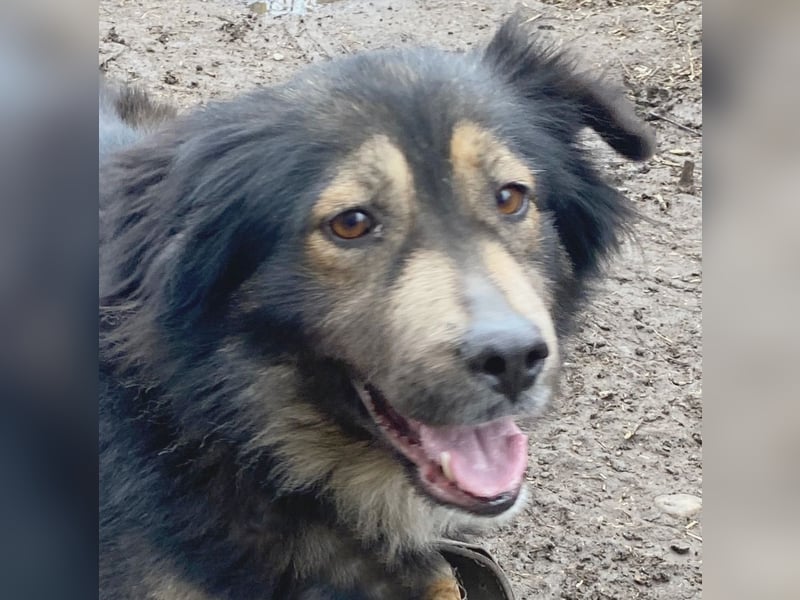 Herra - freundlich und interessiert