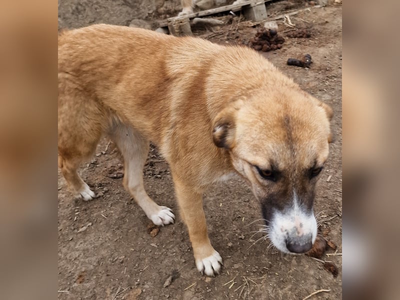Rabea - freundlich und zurückhaltend