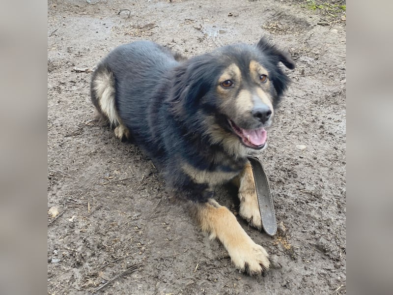 Herra - freundlich und interessiert