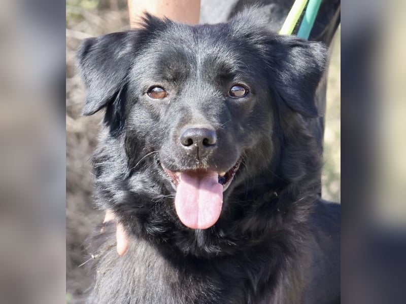 Sila, neugierig, freundlich, lernwillig