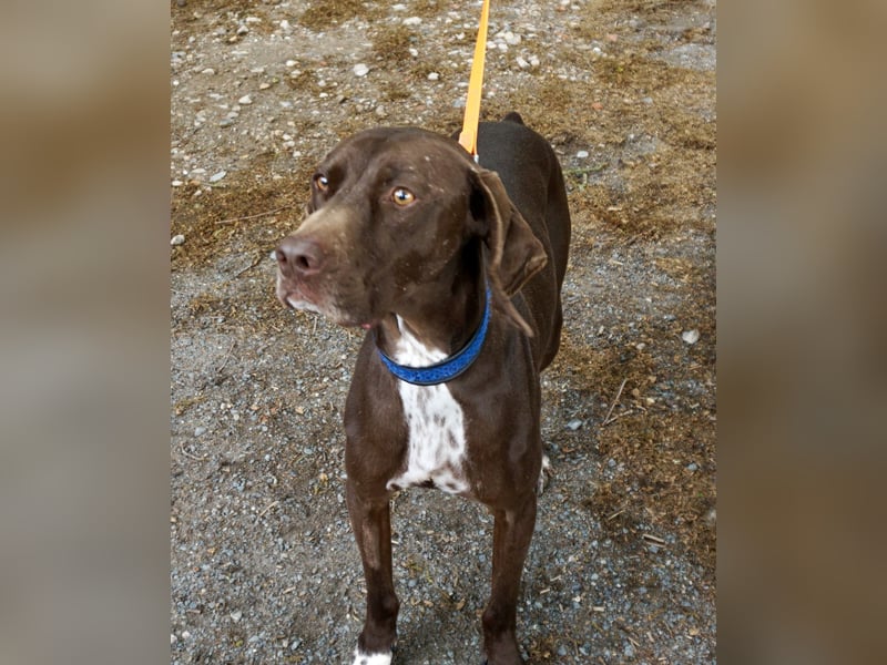 Asia, vorsichtig, lernwillig, gut sozialisiert - bereits in Deutschland