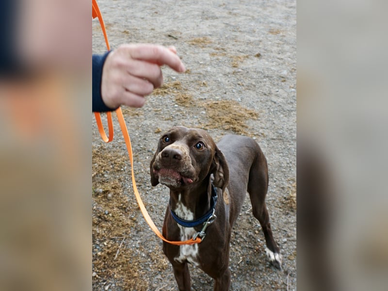 Asia, vorsichtig, lernwillig, gut sozialisiert - bereits in Deutschland