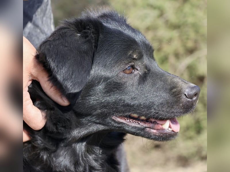 Sila, neugierig, freundlich, lernwillig