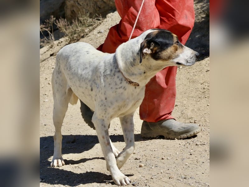 Antonella, sehr sozial, möchte gefallen, aufgeschlossen