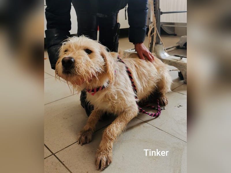 Ein hübscher Kerl mit wunderbarem Charakter……….