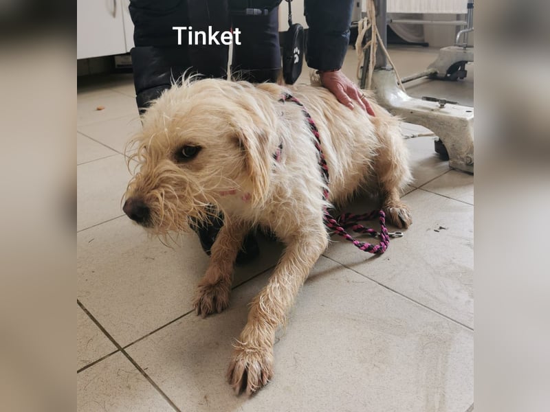 Ein hübscher Kerl mit wunderbarem Charakter……….